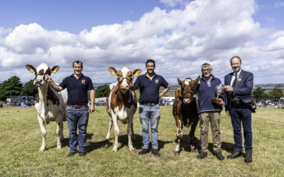 Kinross Show 2024 Results